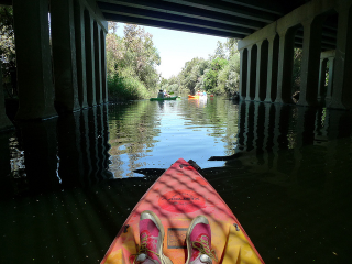 Illustration for article titled I Kayaked the Part of the Los Angeles River That Actually Looks Like a River